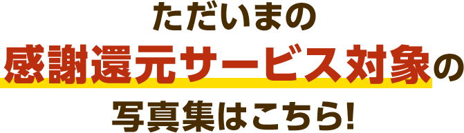 ただいまの感謝還元サービス対象の写真集はこちら！